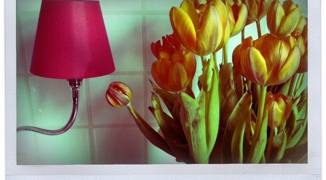 Lamp talking with flowers