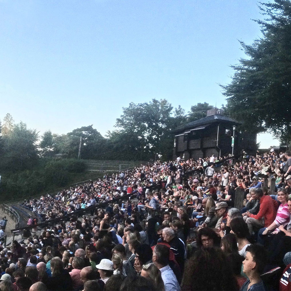 Crowd